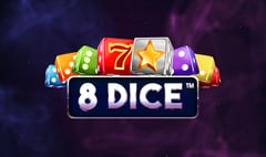 Synot - 8 Dice