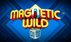 Synot - Magnetic Wild Dice
