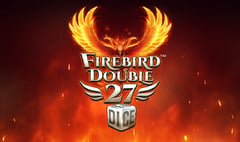 Synot - Firebird Double 27 Dice